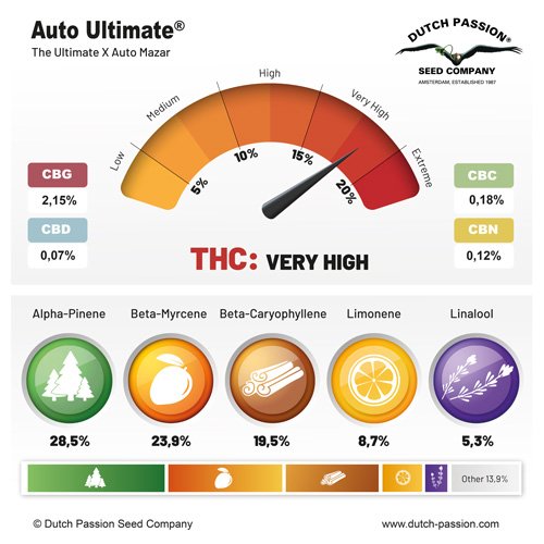 auto-Ultimate-terpenes-and-cannabinoids-dutch-passion-cannabis-seed-company
