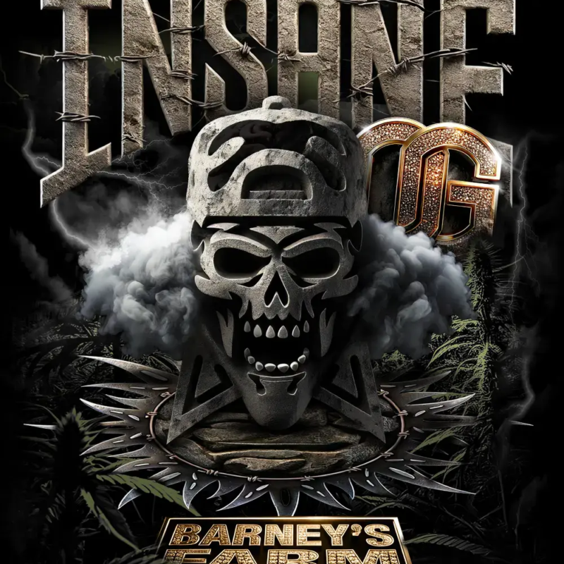 insane-og_circle_