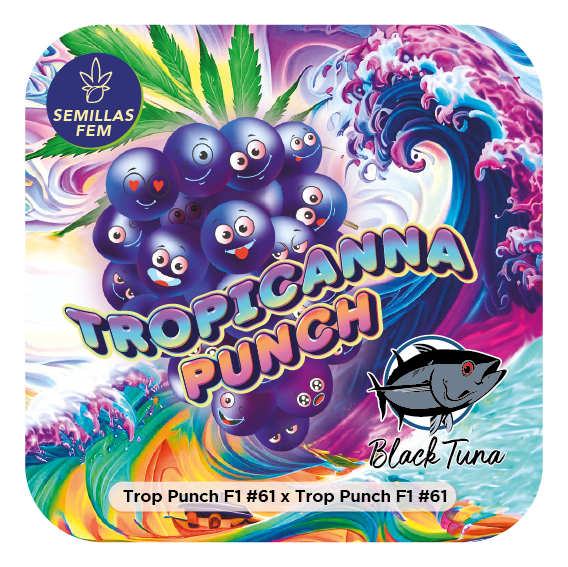 TROPICANNA-PUNCH-001