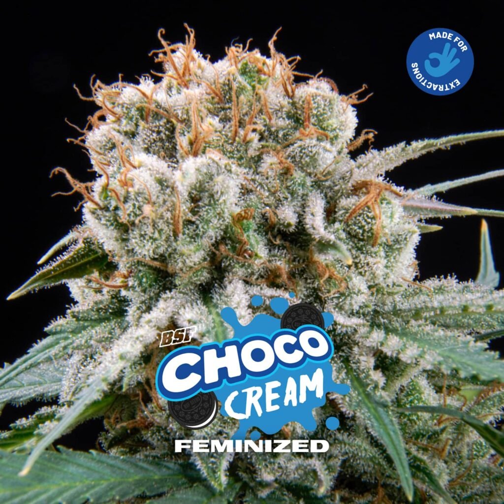 choco cream