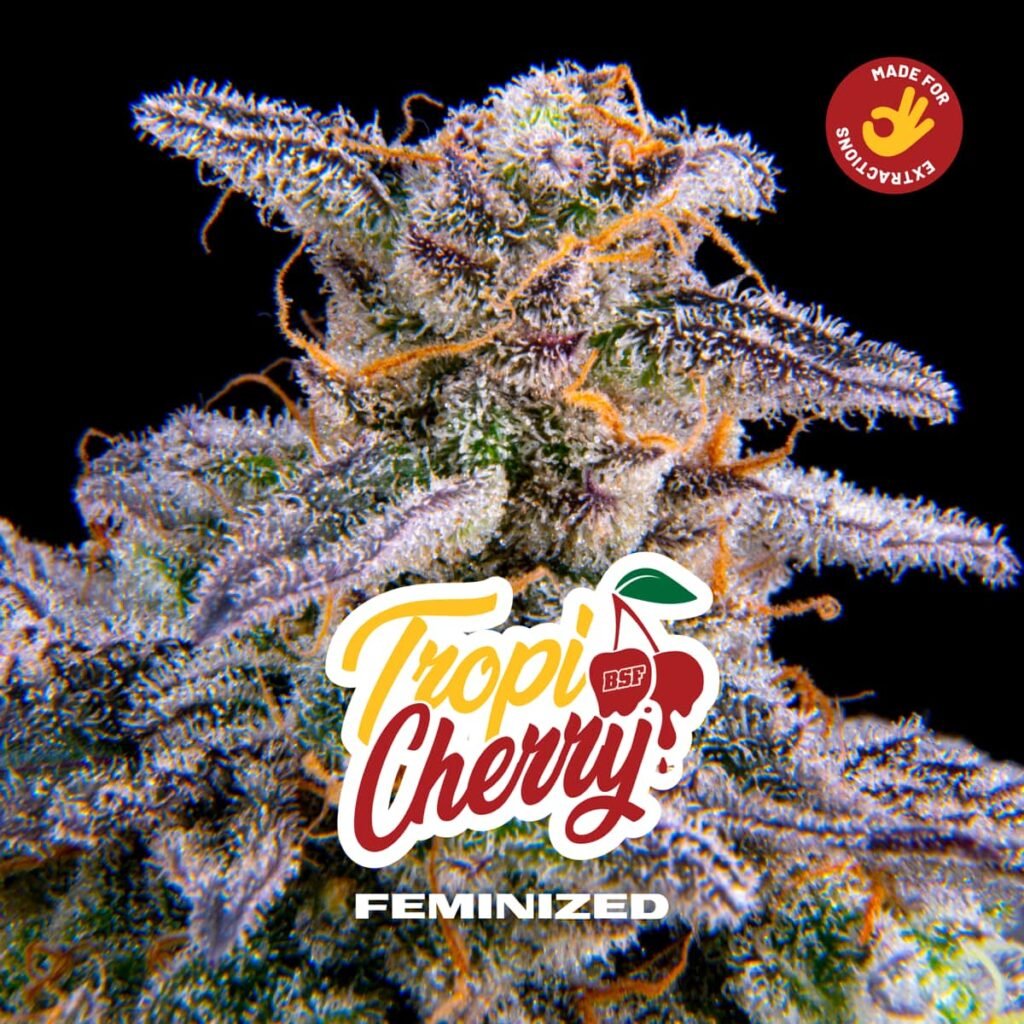 tropycherry